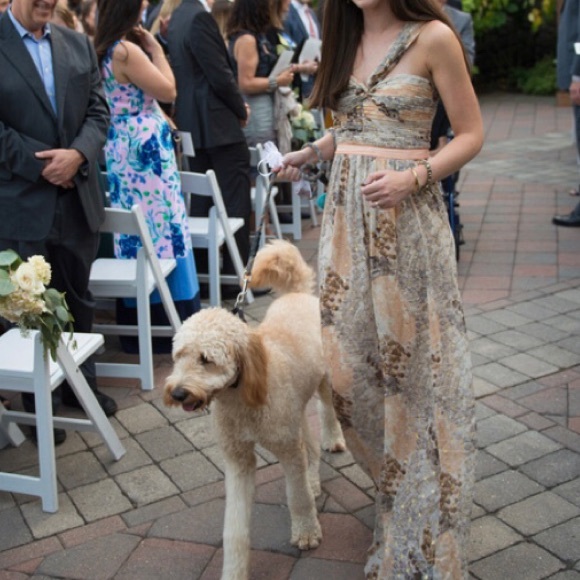 BCBG draped silk chiffon gown XS 2 - Picture 1 of 4